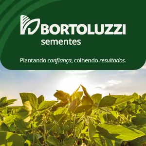 Banner Bortoluzzi