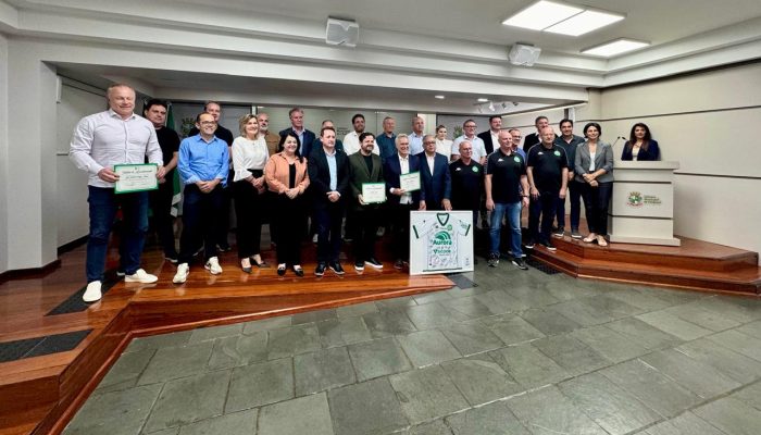 Foto: Divulgação/Câmara de Vereadores de Chapecó