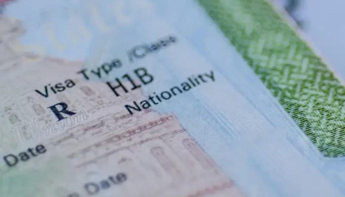 Infomoney/ Divulgação