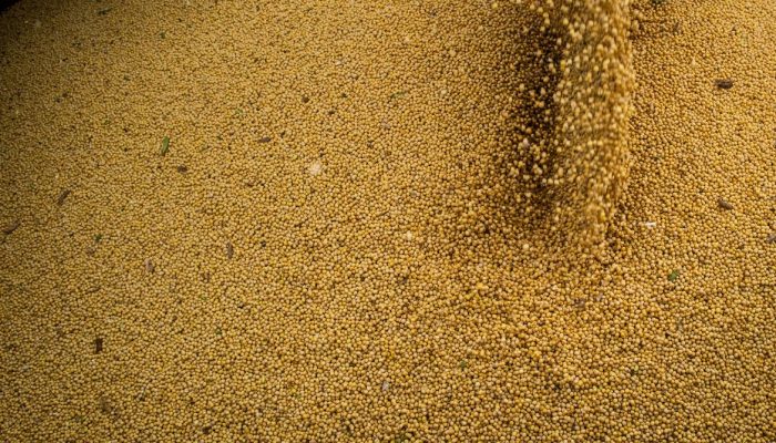 51895318587_e532858057_4k