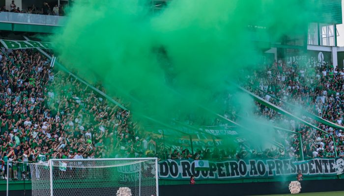 55137303358_62fbf91950_k