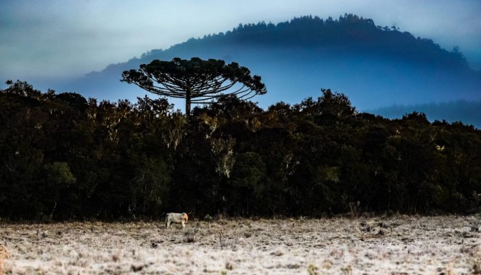 Inverno-Foto-Ricardo-Wolffenbuttel-_-Secom-1536x960