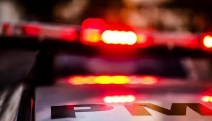 Foto: Divulgação/PMSC