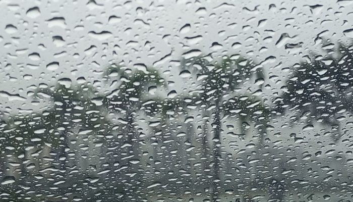 WhatsApp-Image-2024-06-24-at-16.07.28-2