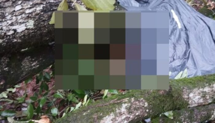 Foto: Divulgação/CBMSC