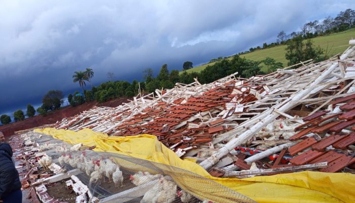 Foto: Divulgação/Prefeitura de Chapecó