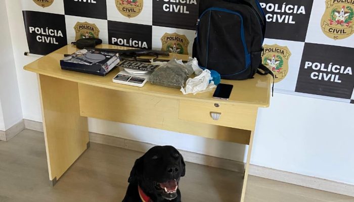 Foto: Divulgação/Polícia Civil