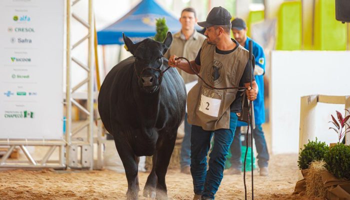 Foto: Grafels/Prefeitura de Chapecó