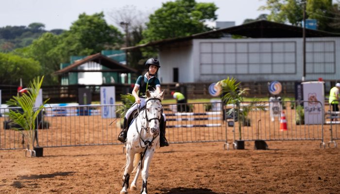 Foto: Divulgação/Prefeitura de Chapecó