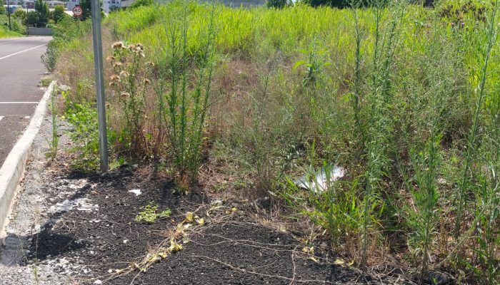 Prefeitura de Chapecó/ Divulgação