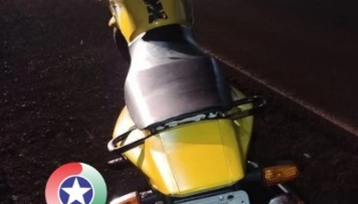 Polícia Militar/ Divulgação