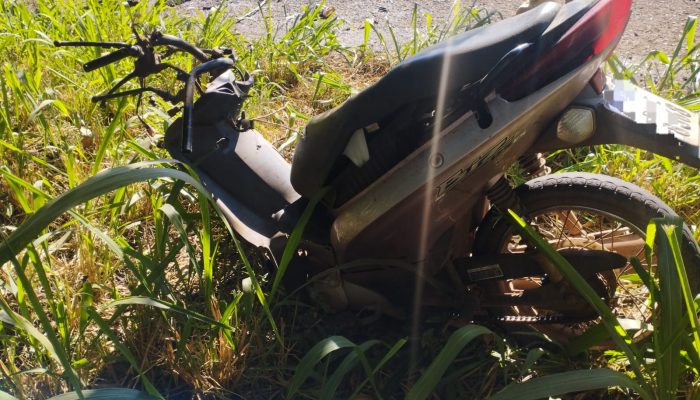 WhatsApp Image 2026-02-04 at 19.46.31