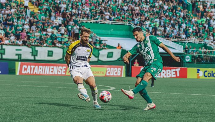 WhatsApp-Image-2026-02-08-at-21.38.10