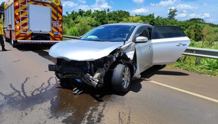 WhatsApp Image 2026-02-12 at 13.14.18