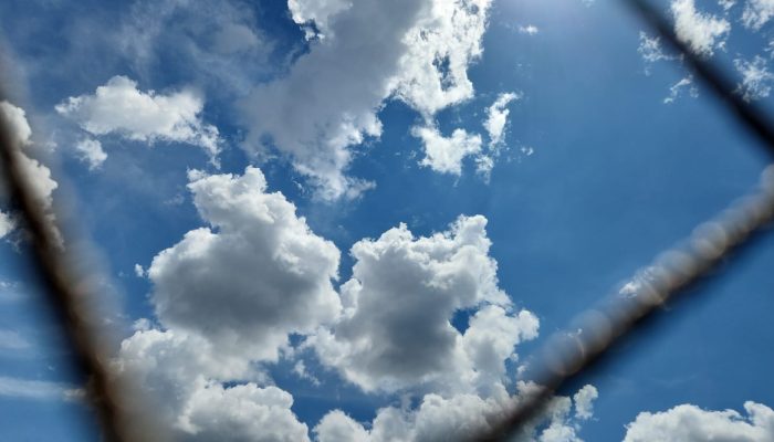 WhatsApp Image 2026-02-12 at 13.45.33