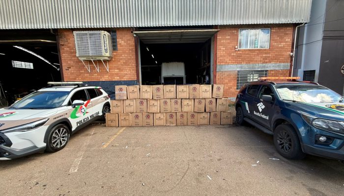 WhatsApp Image 2026-02-13 at 11.42.50