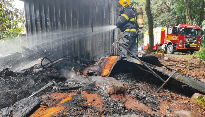 WhatsApp Image 2026-02-15 at 17.25.28