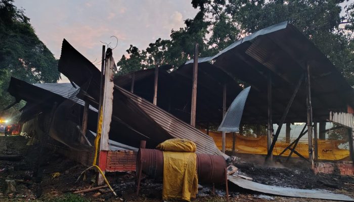 WhatsApp Image 2026-02-17 at 07.08.54