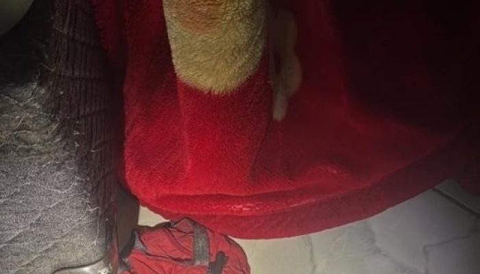 WhatsApp Image 2026-02-19 at 08.46.50