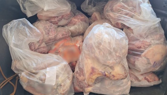 WhatsApp Image 2026-02-19 at 11.26.38