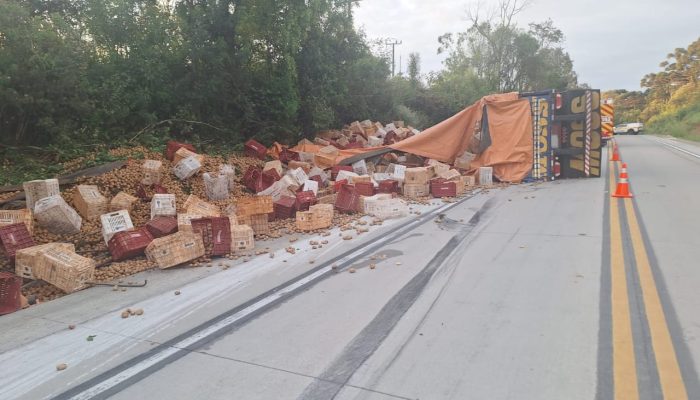 WhatsApp Image 2026-02-20 at 20.42.34