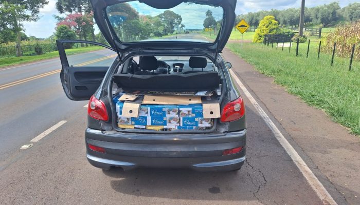 WhatsApp Image 2026-02-27 at 17.25.21