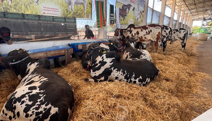 WhatsApp Image 2026-03-04 at 12.31.21