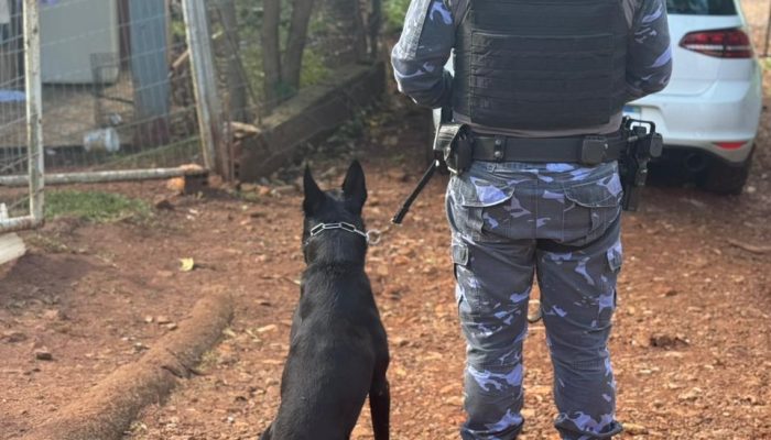 a059504d-0906-4ceb-a64c-96347d98fec6