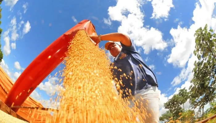 Prefeitura de Campo Grande/Divulgação/ Agência Brasil