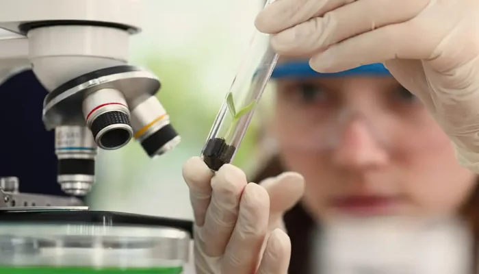 meninas_cientistas